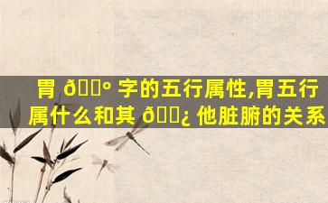 胃 🐺 字的五行属性,胃五行属什么和其 🌿 他脏腑的关系